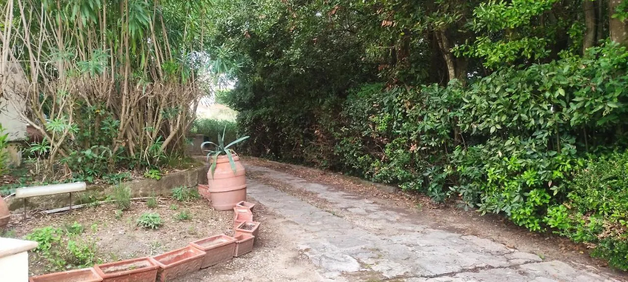 Apartment Bilocale A Due Passi Dal Mare Immerso Nel Verde Castiglioncello