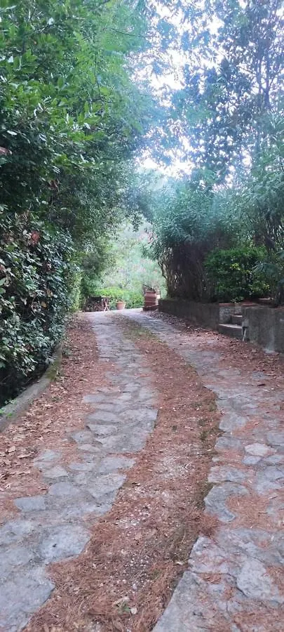 Apartment Bilocale A Due Passi Dal Mare Immerso Nel Verde Castiglioncello